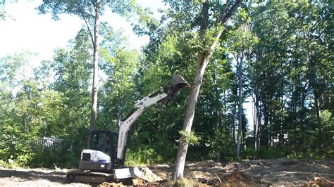 pushing over trees with mini excavator|mini excavators for tree removal.